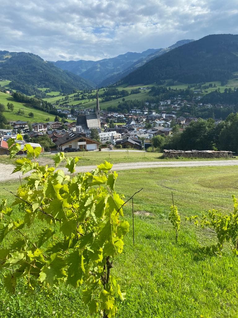 Schmiedhöfl 