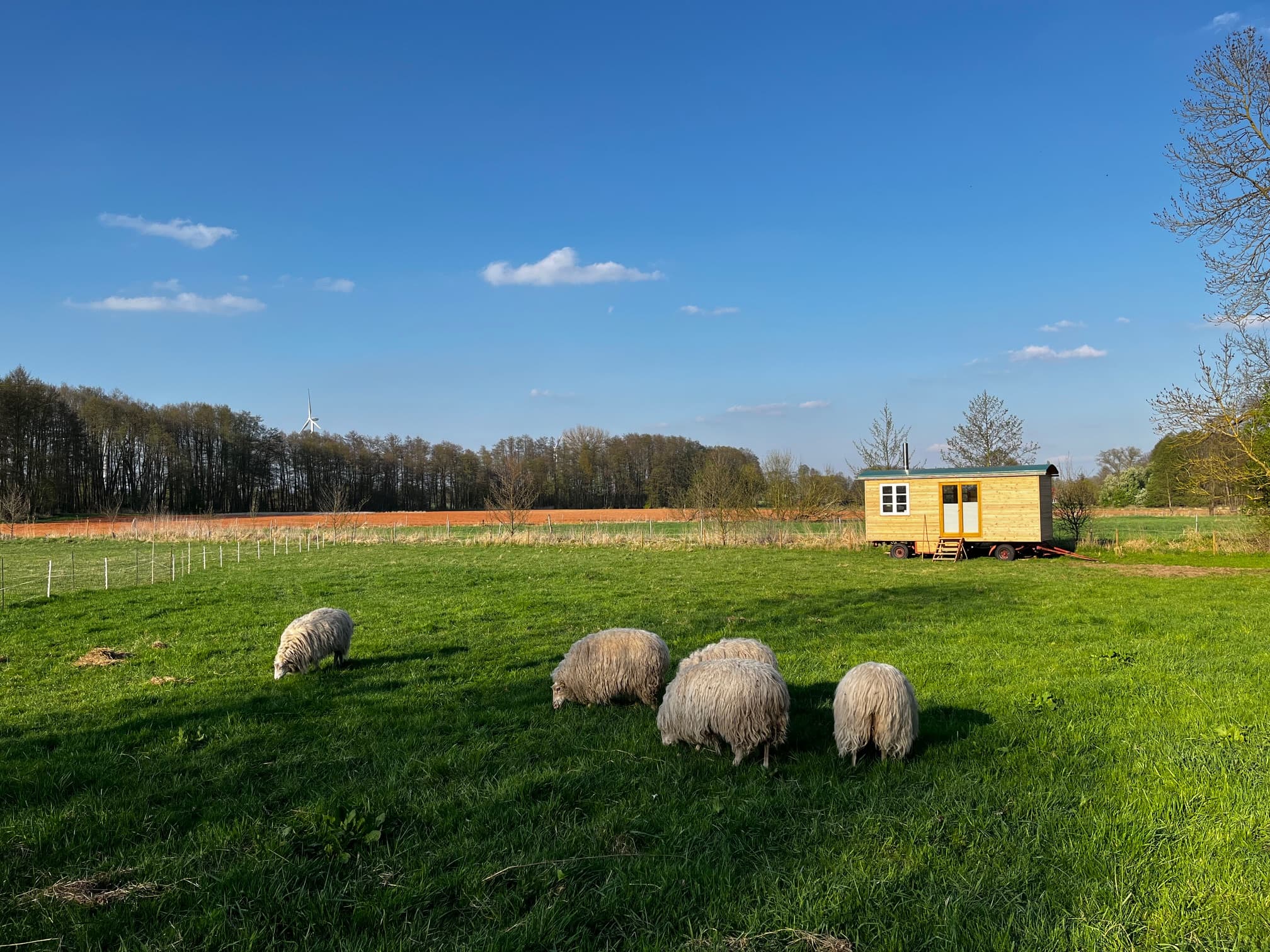 Wunderschöne Alleinlage auf der Schafweide