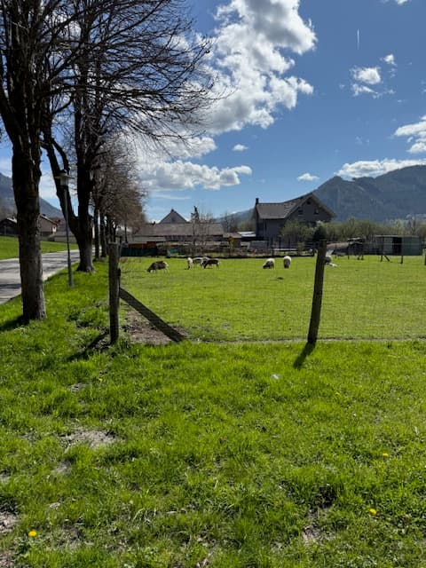 Stellplatz im Grünen mit Tiererlebnis