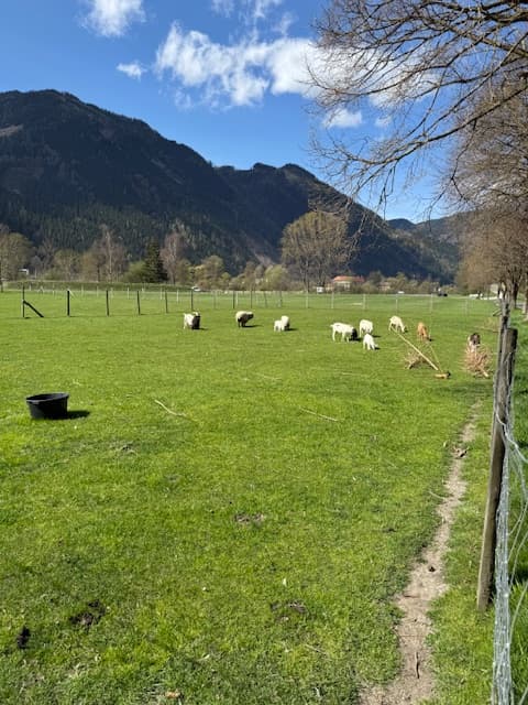 Stellplatz im Grünen mit Tiererlebnis