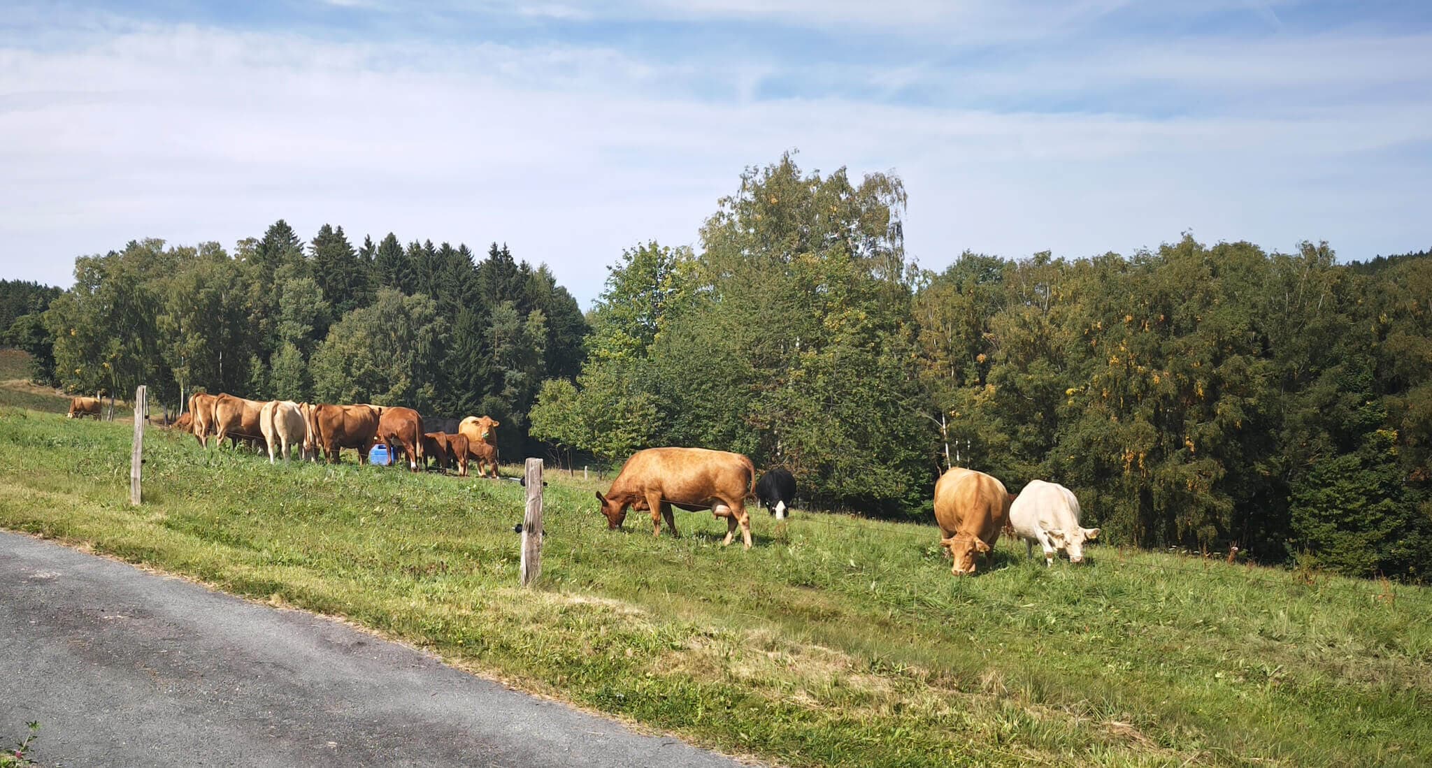 Ruhe in Alleinlage mit Rundumblick & Sternenhimmel
