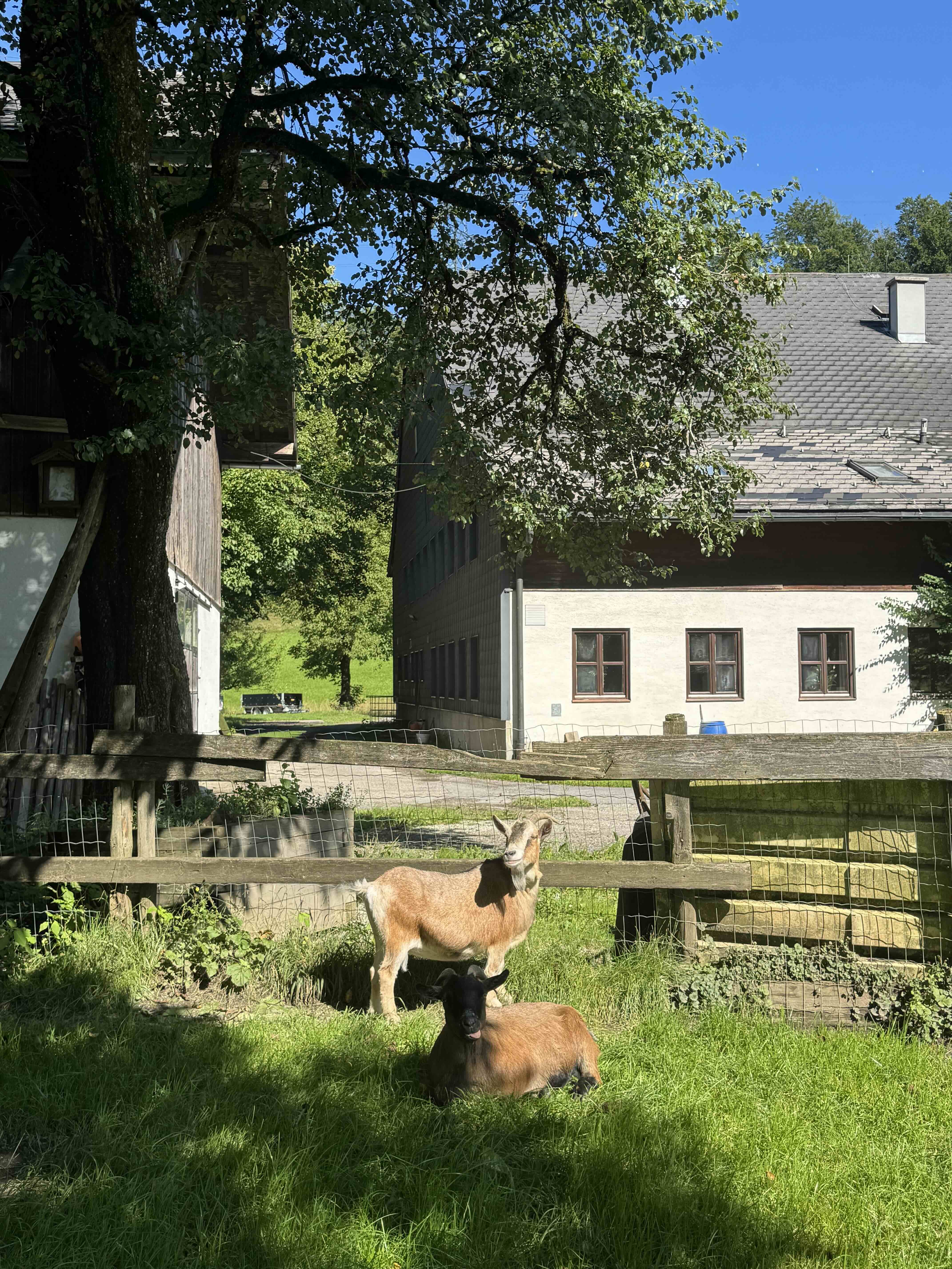Ramsau - Glasenbachklamm