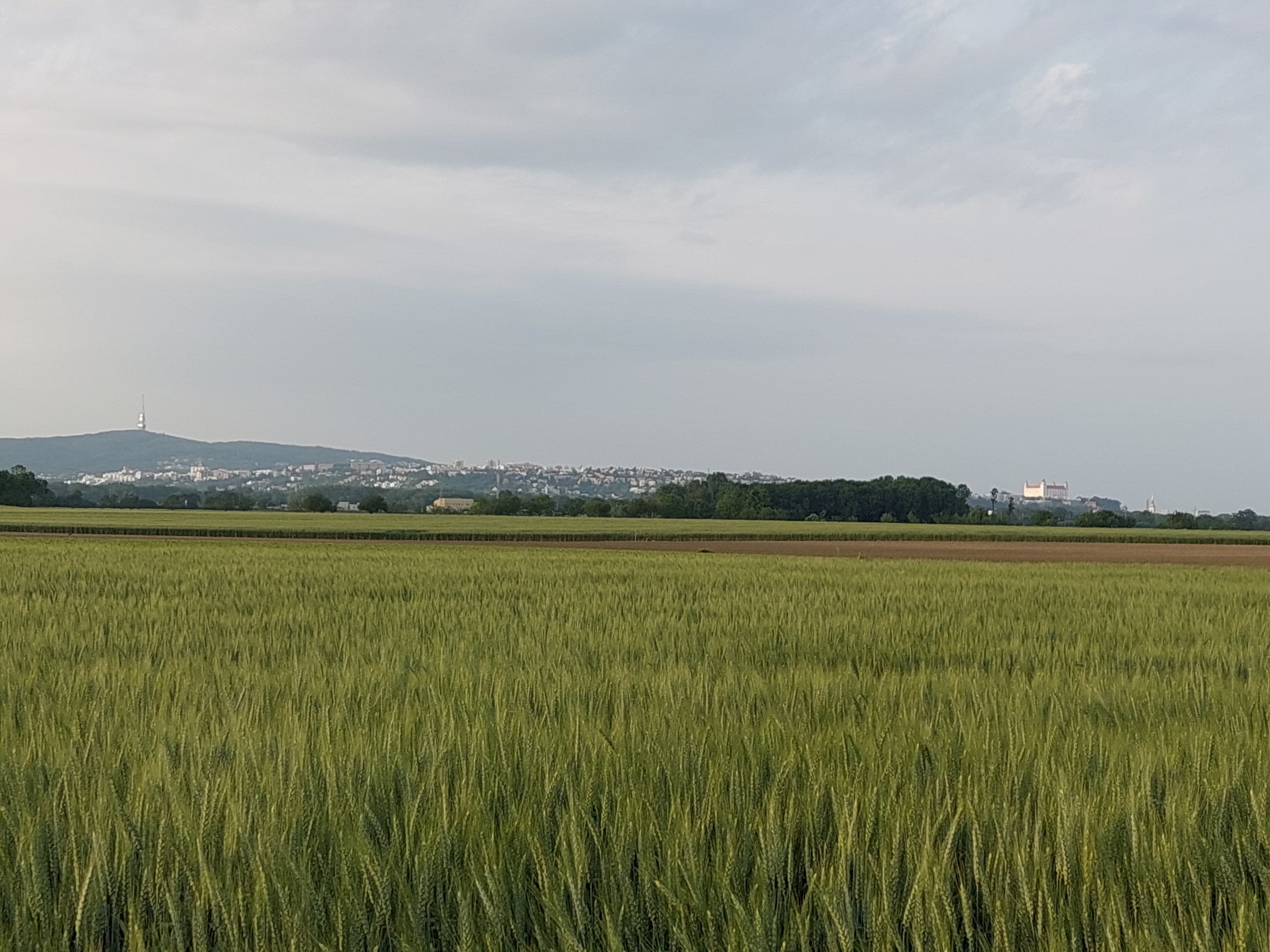 Bratislava - Blick