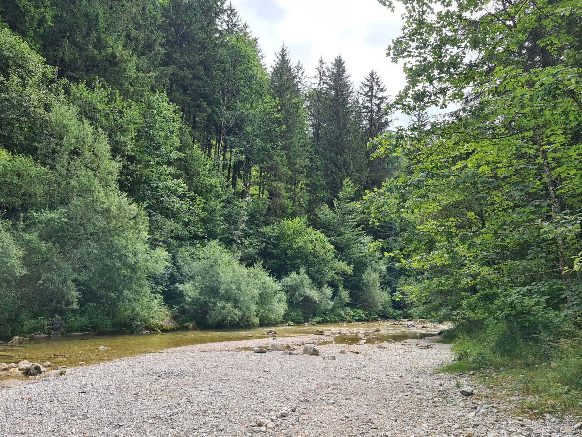 Naturpark-Parkplatz Erlaufboden