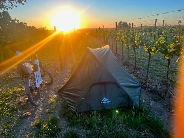 Campen im Weingarten