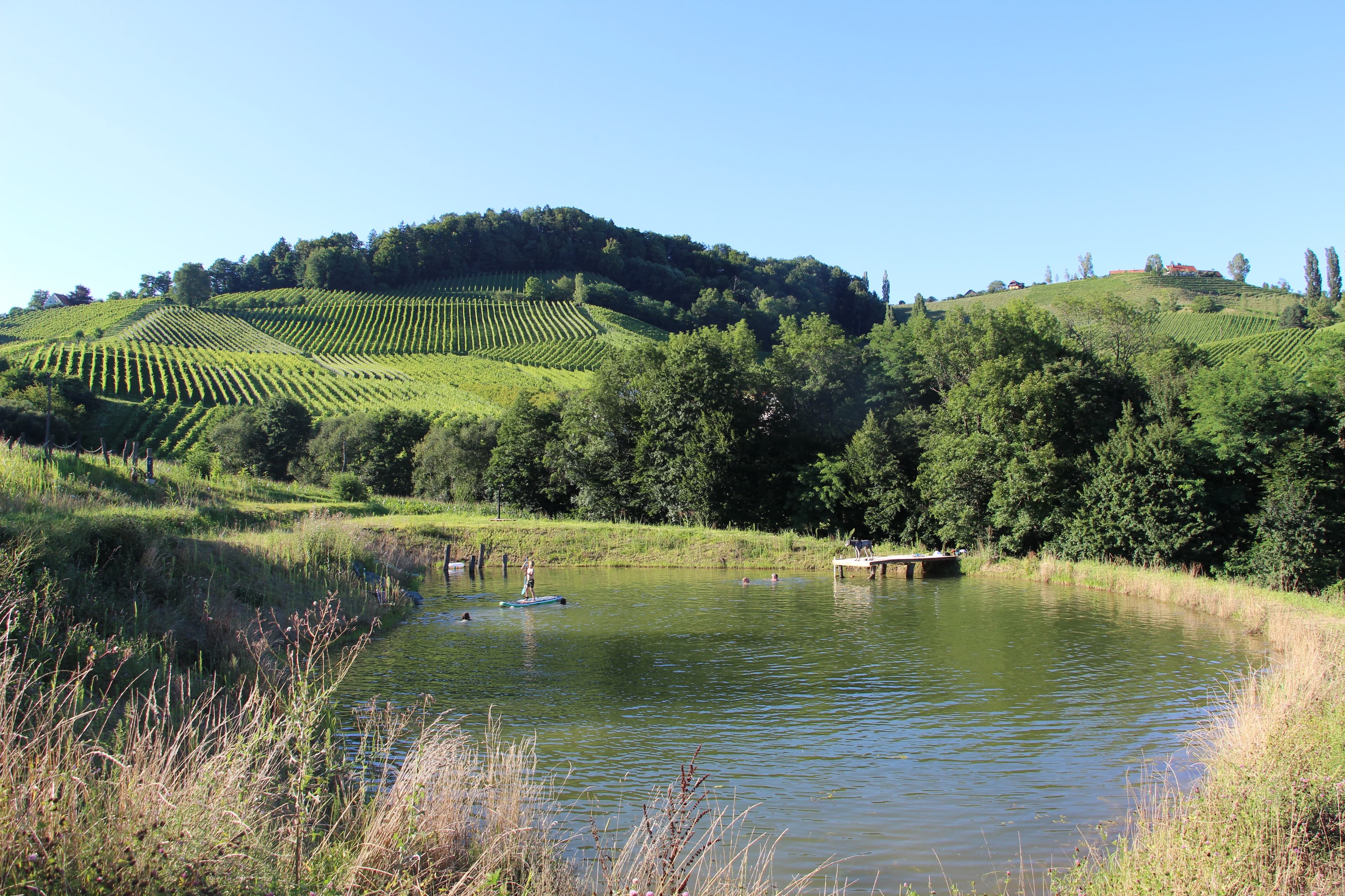 Winez wild culture - Zeltplatz 