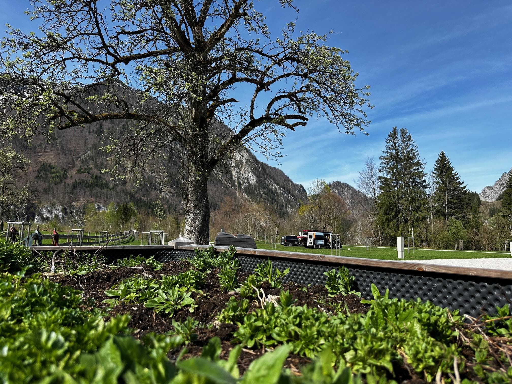 The Campus Alps