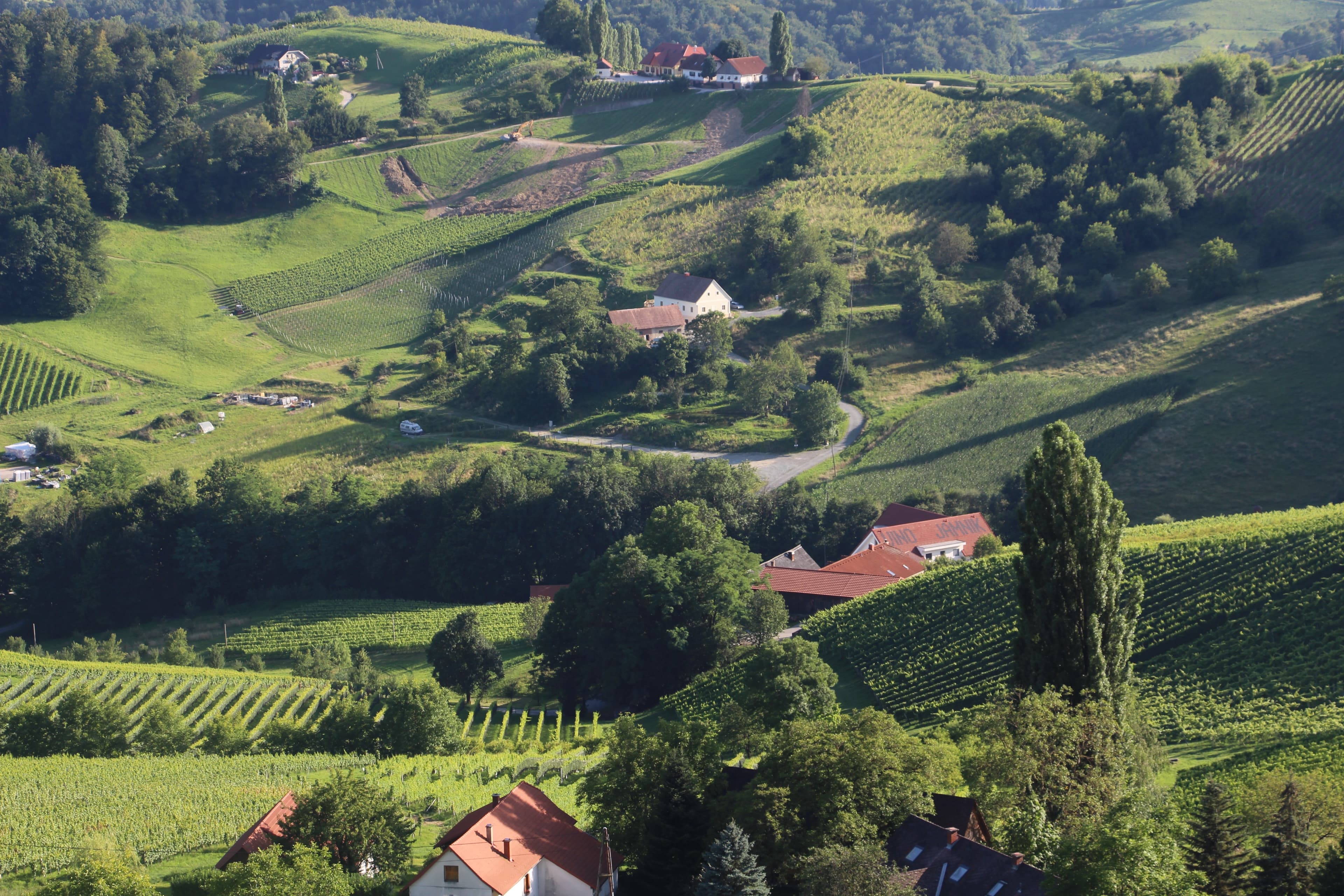 Winez wild culture - Stellplatz