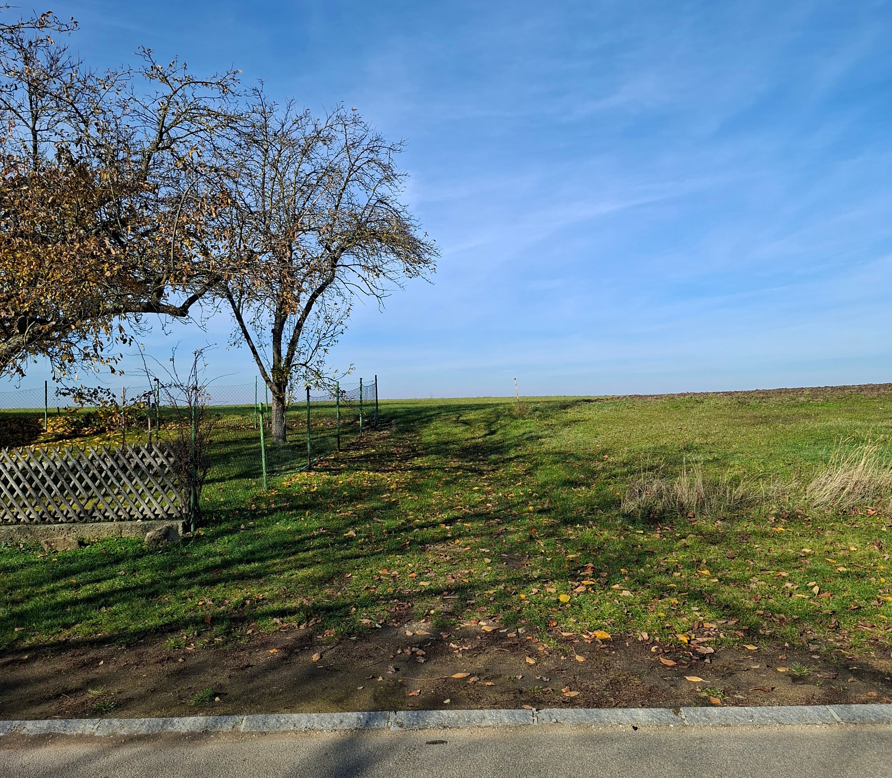 Kellergasse Schöngrabern