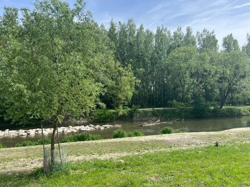Naturparkplatz Leithastraße Rohrau