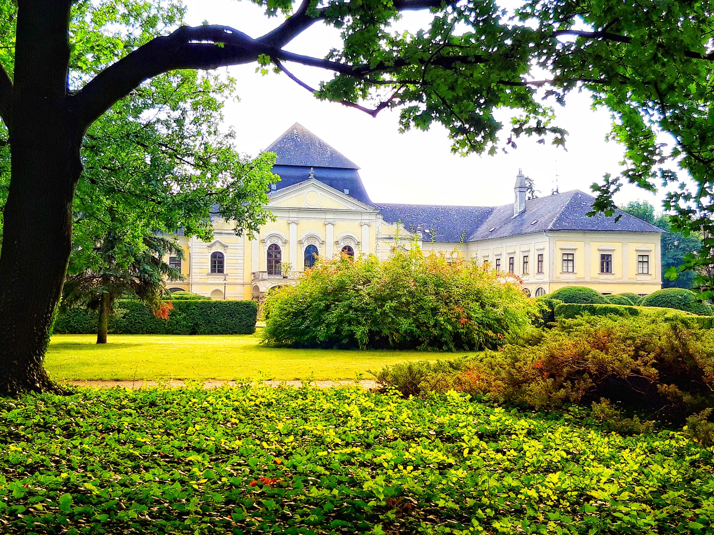Auf der Heide - Kittsee