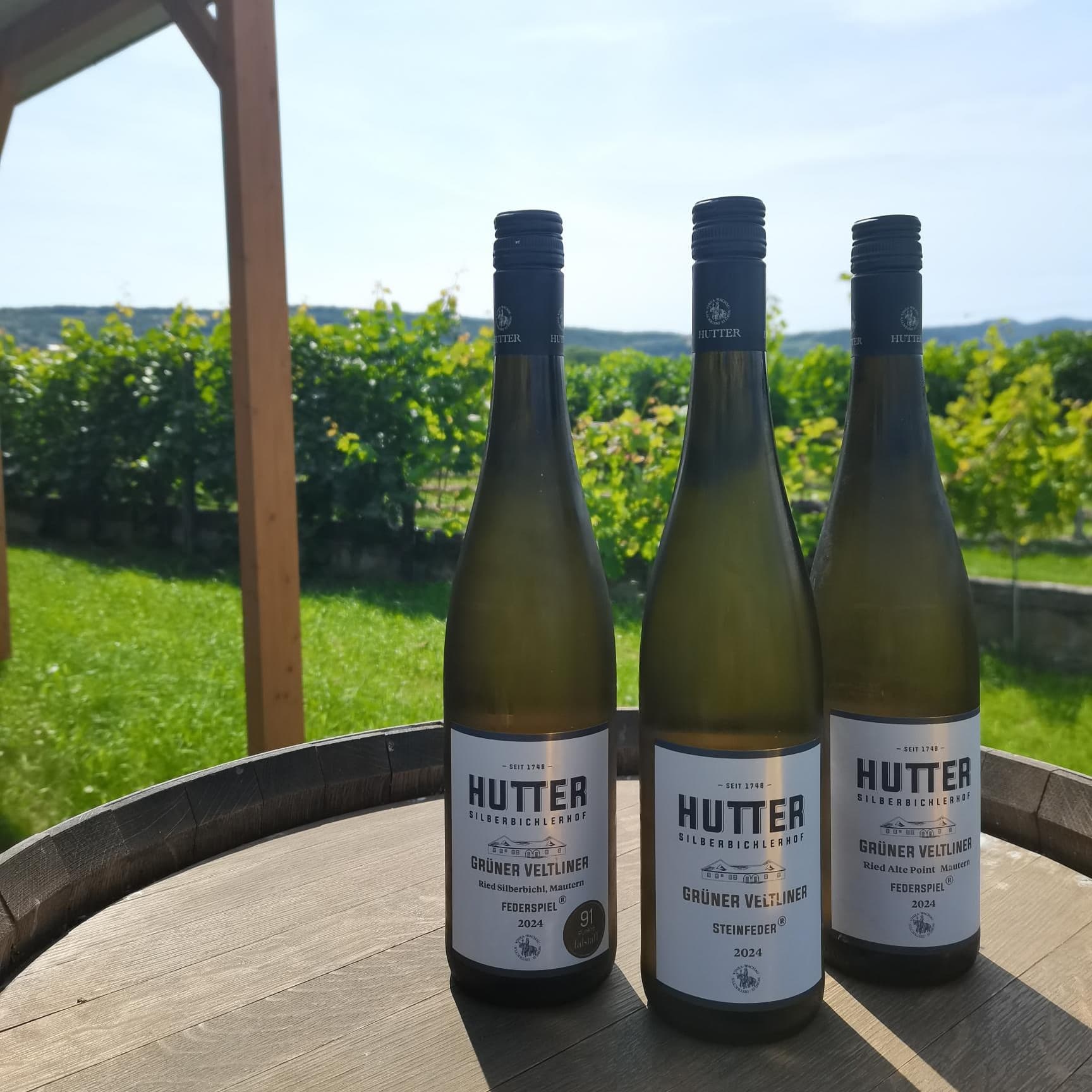 Stellplatz im Weinparadies - Idylle am Weingut